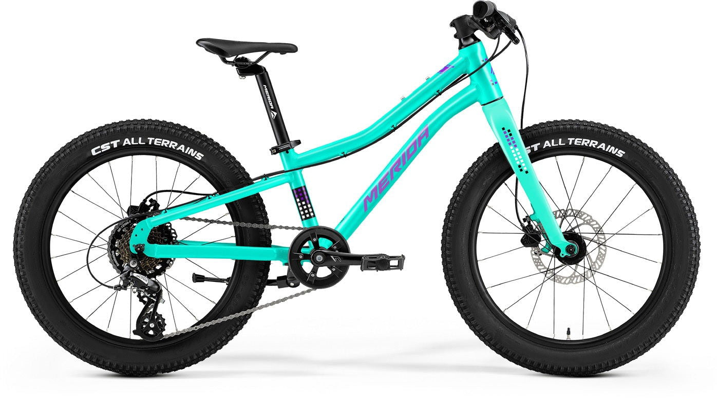 2025 MATTS J 20+ MATT MINT - Papanui Cycles