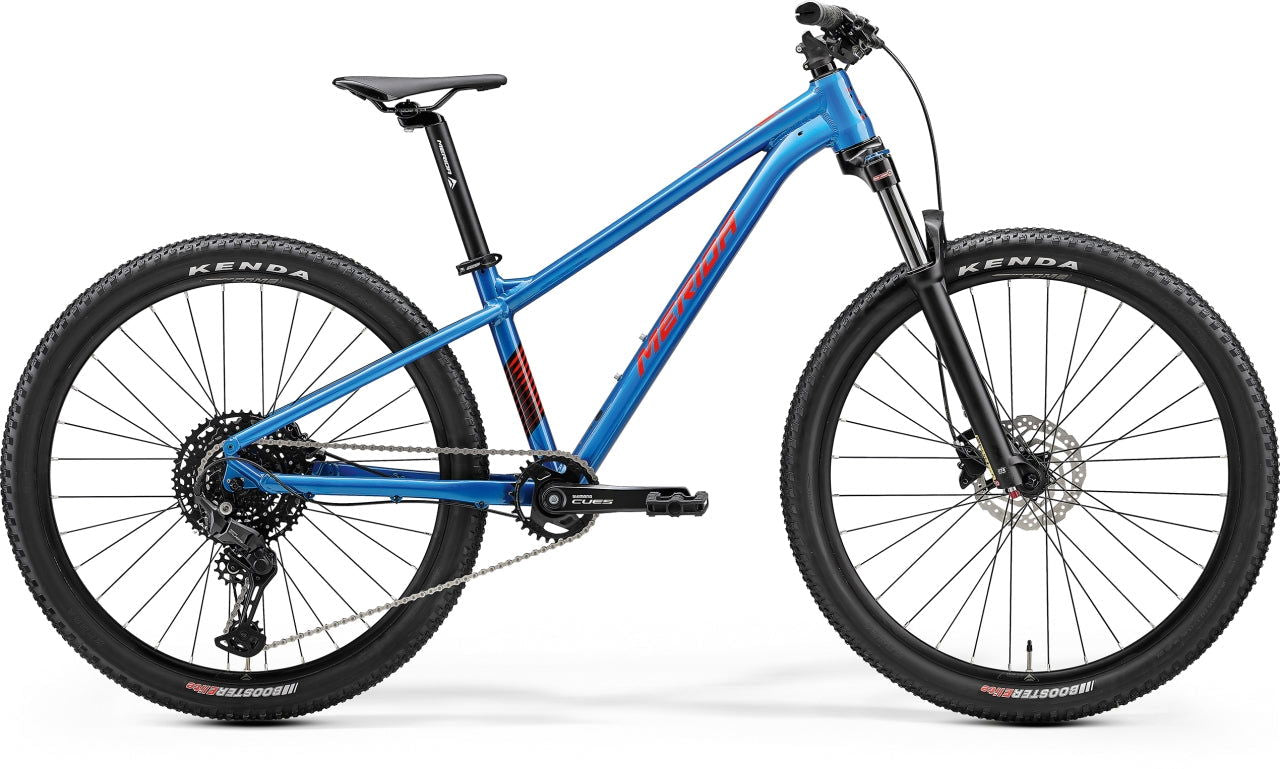 24 MATTS J CHAMPION XS - Papanui Cycles