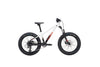 24 SAN QUENTIN 20" - Papanui Cycles