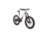 24 SAN QUENTIN 20" - Papanui Cycles