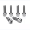 Ritchey WCS 4 - Axis C220 and Toyon Stem Titanium Bolt Set - 6 Pack 
