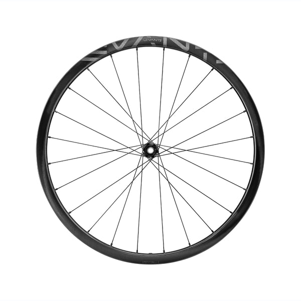 Campagnolo Levante Wheelset 700c DB 2 Way Fit HG
