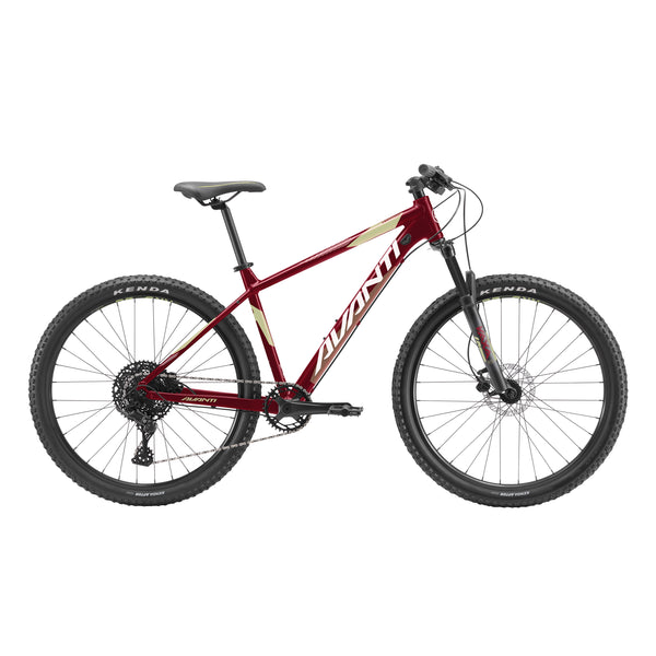 Avanti bikes for sale online