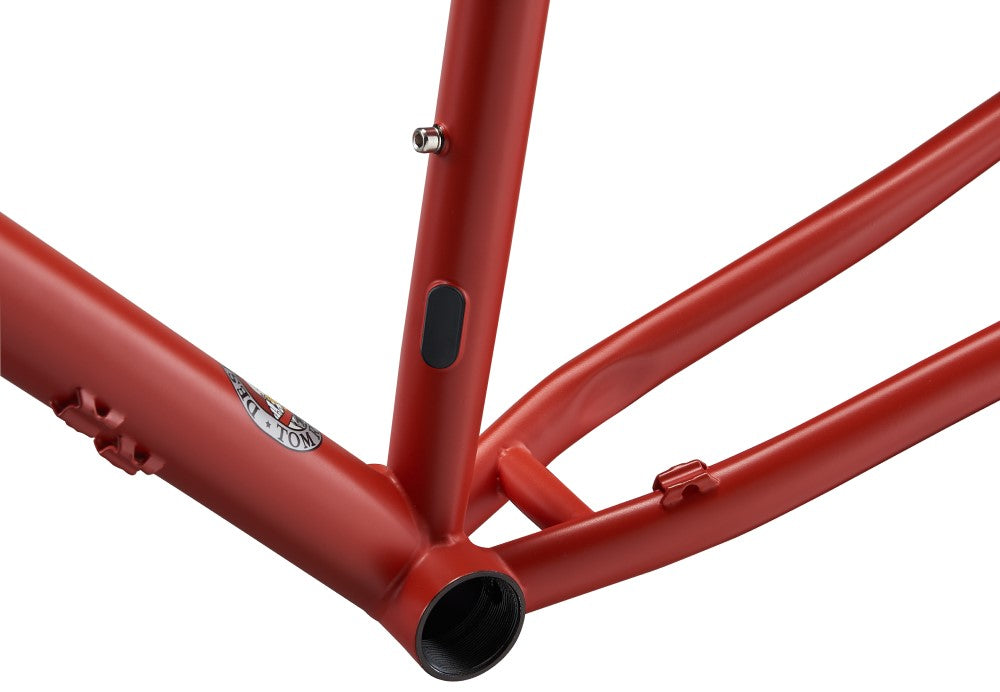 Ritchey P-29er frame