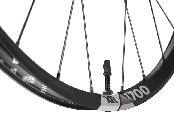 XR 1700 Rim