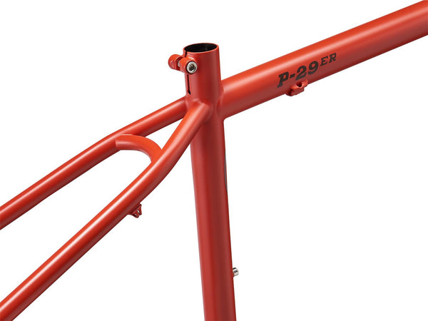 Ritchey P-29er frame