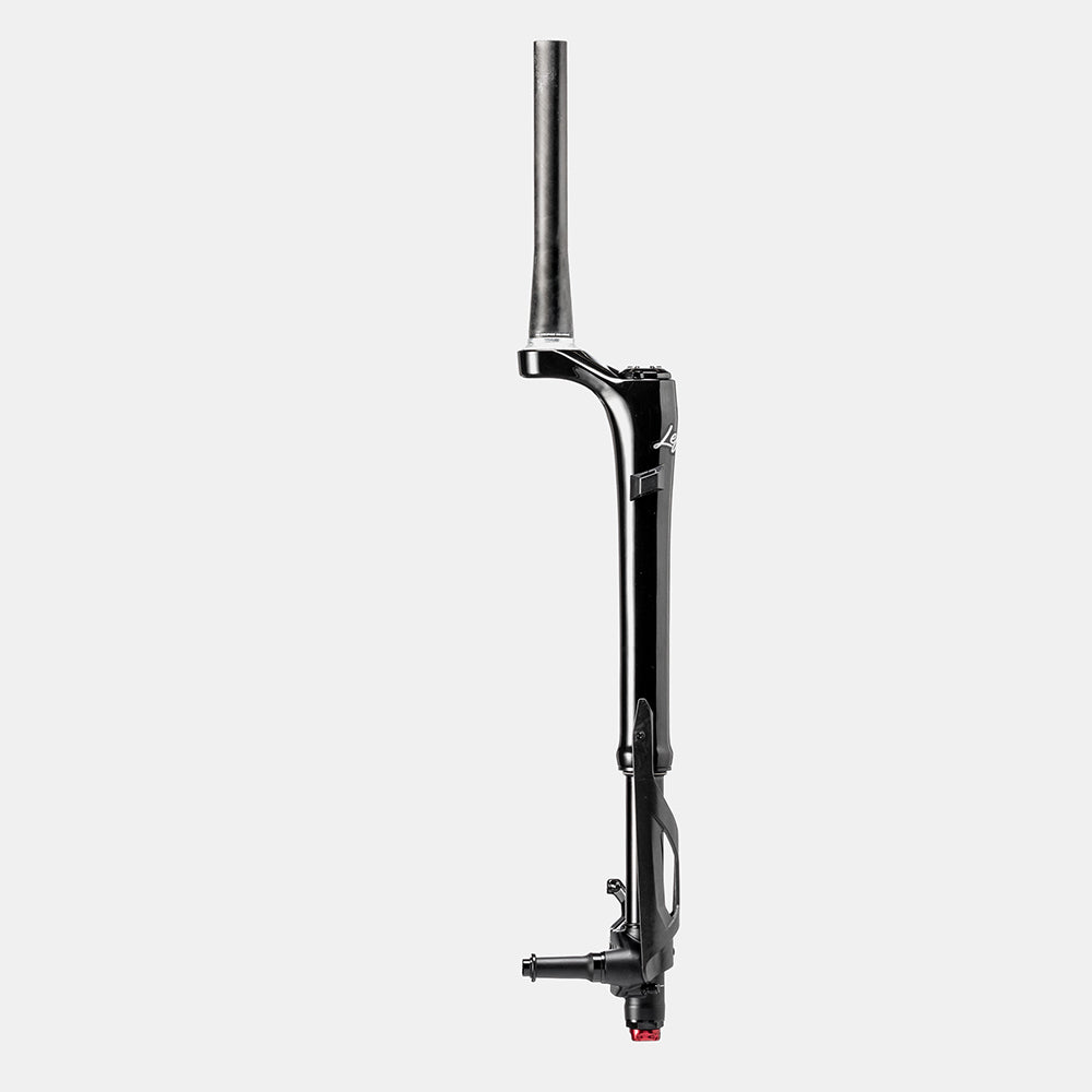 Cannondale Lefty Ocho Carbon Fork