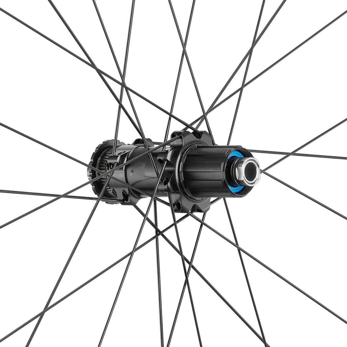 Fulcrum Wind 40 Disc Brake Wheelset - Papanui Cycles