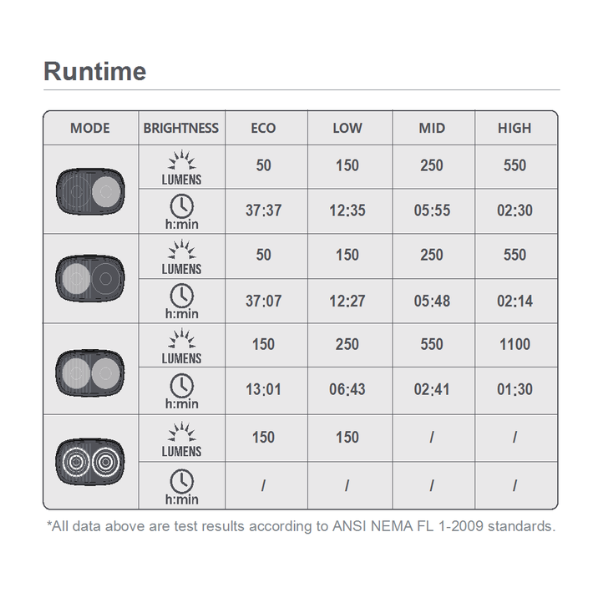 Ray1100 Runtime