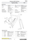 Synapse Carbon Spares 2023 - 2024