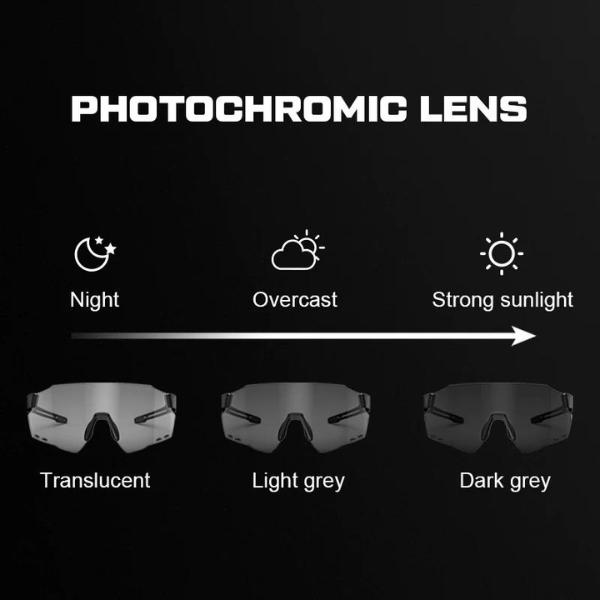 MS Photochromic