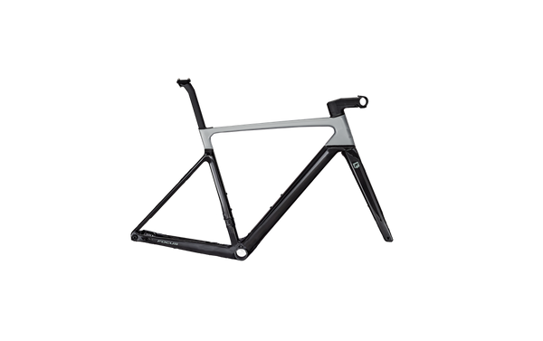 2024 Focus IZALCO MAX DISC Frameset