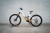 Stabilus Orbea emtb