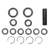 Cannondale Moterra Link / Chain Stay / Seat Stay Pivot Bearings
