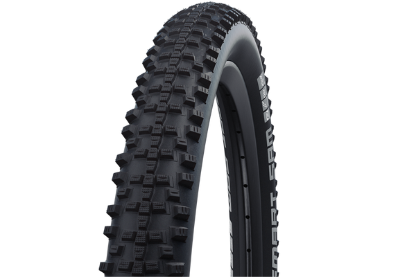 Schwalbe Tyre Smart Sam Double Defense