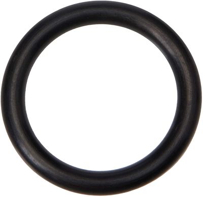 Topeak Floor Pump Piston O-Rings